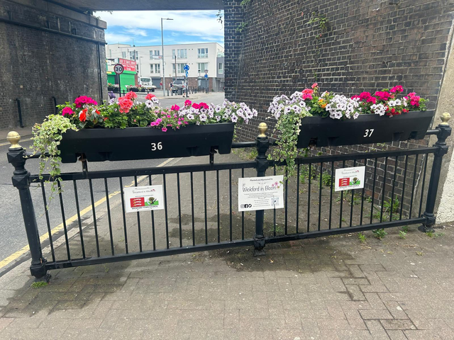 Wickford Community Support