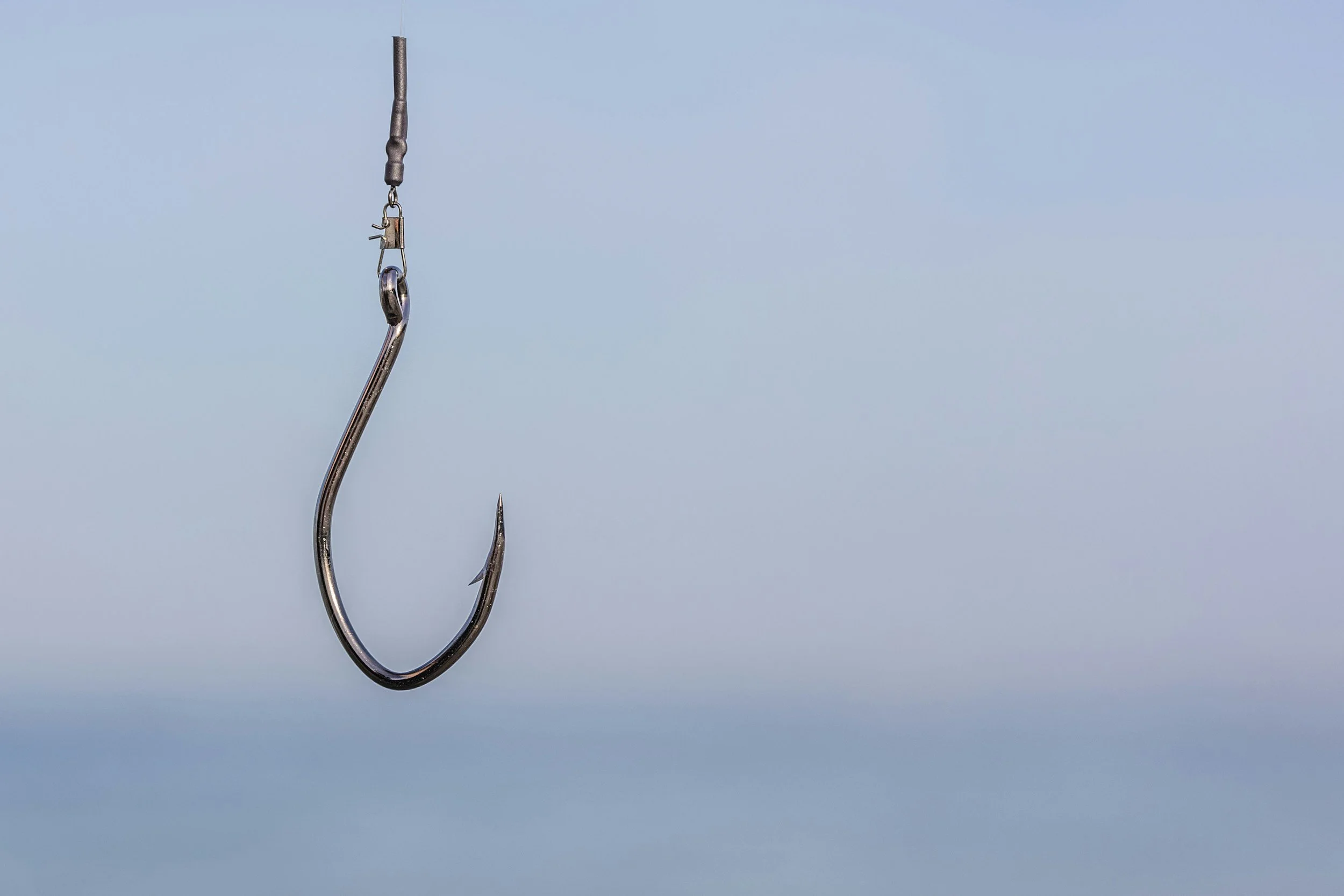 "I Clicked It": What to Do in the First 5 Minutes After a Phishing Attack